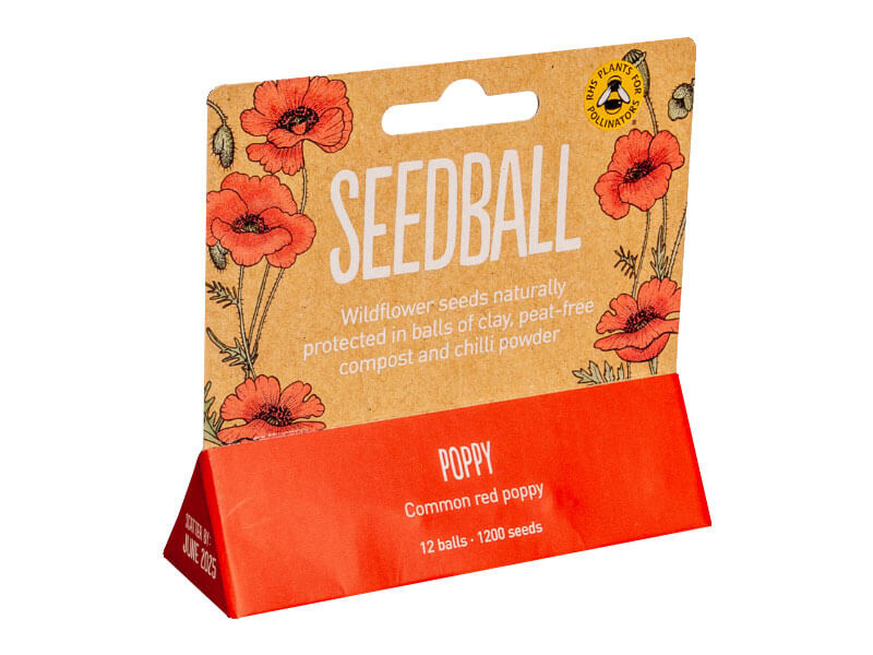 Hang-tab-Seed-ball-boxes