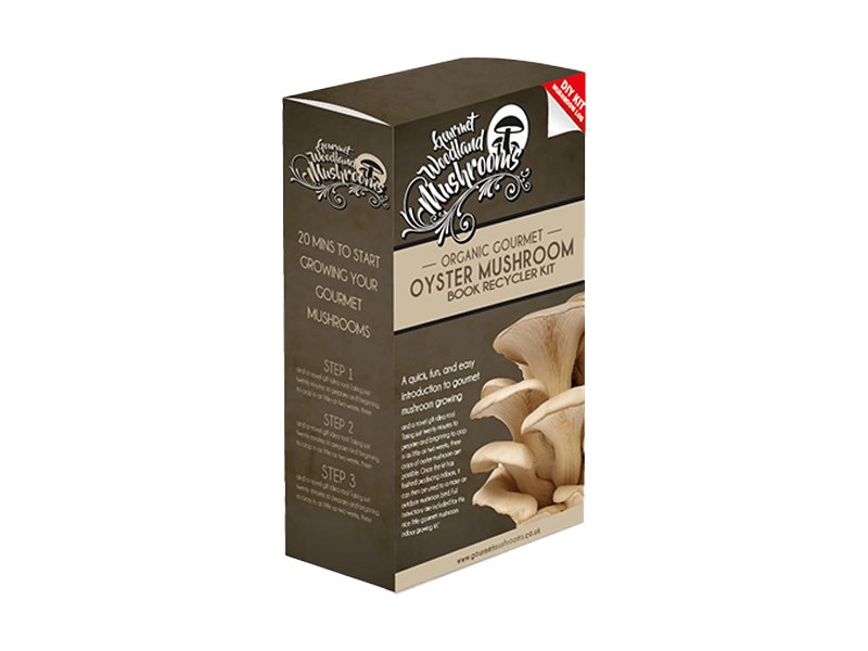 Mushroom-kit-Boxes-wholesale