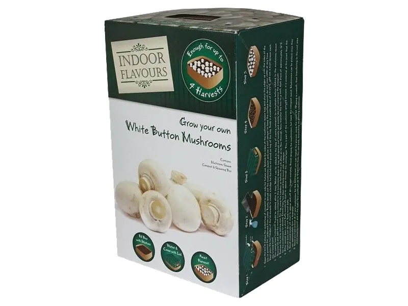 Mushrooms Packaging Boxes