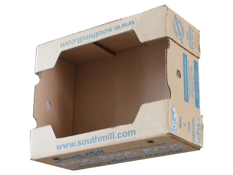 Window-Frozen-Mushroom-Boxes-4
