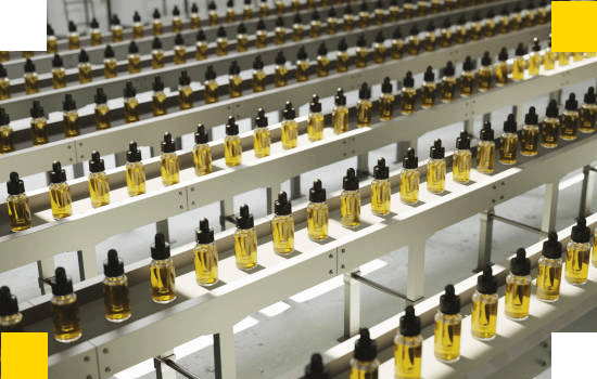 Custom Packaging Boxes Australia: The Ultimate Guide for Brands That Want to Stand Out