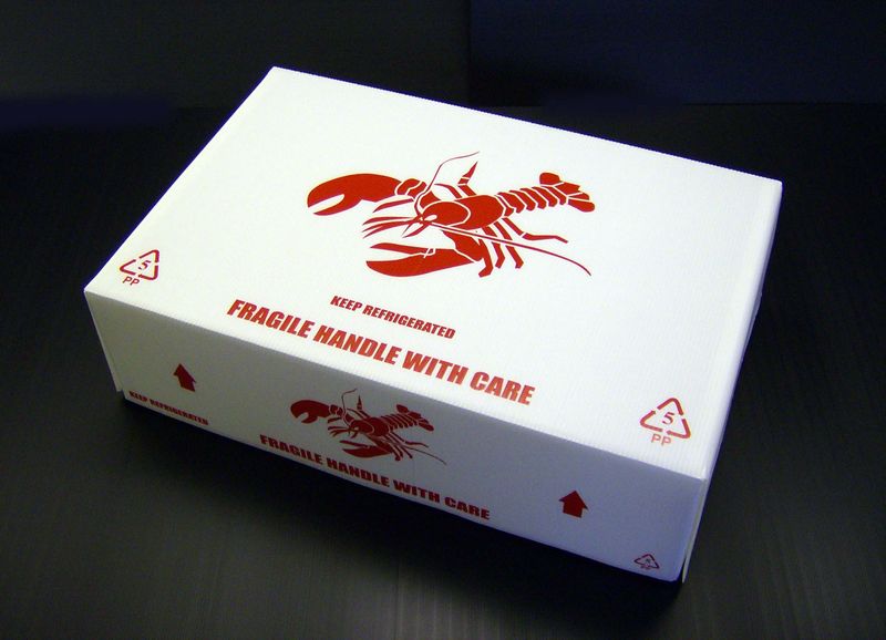 fish-food-packaging-boxes-1