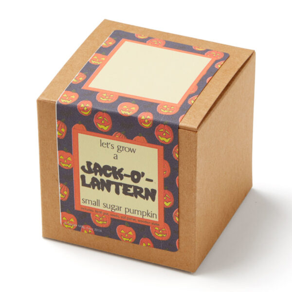 Seeds Packaging Boxes